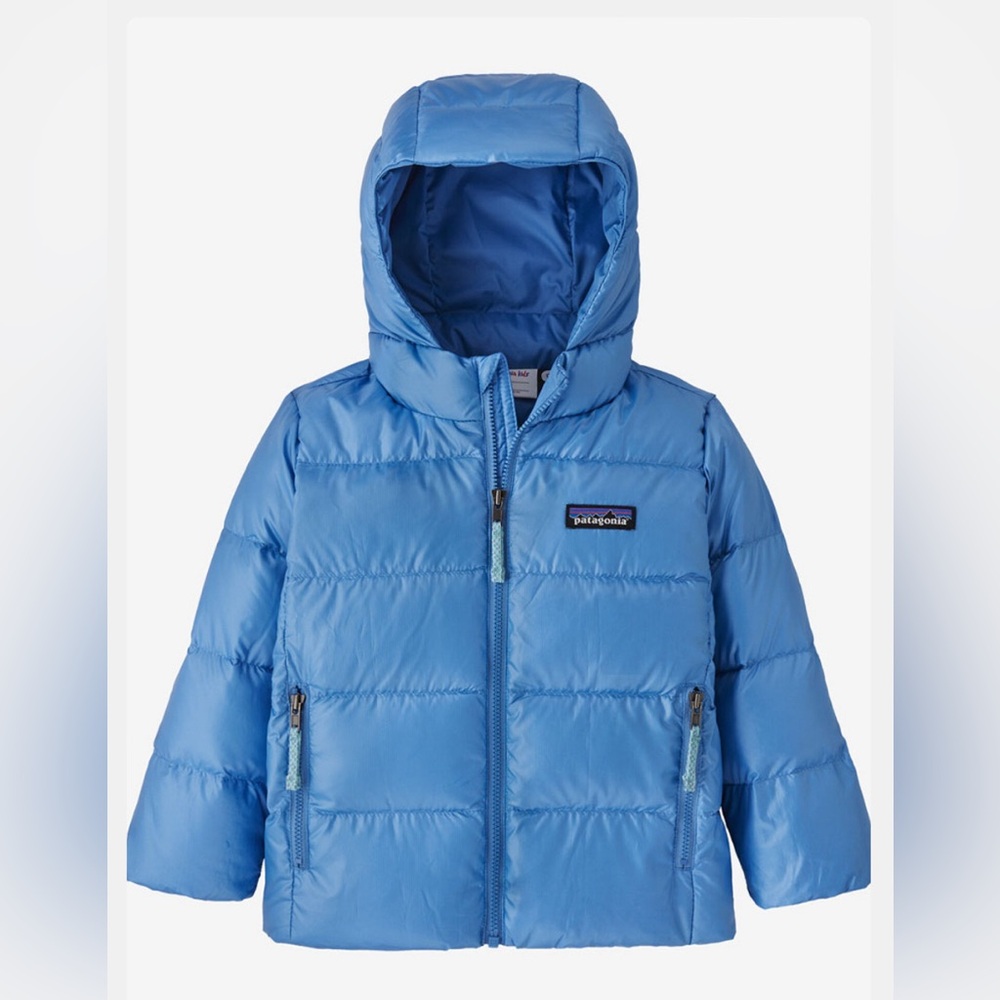 Patagonia Hi-Loft Down Sweater Hoodie - Toddlers'